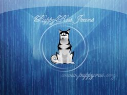 PuppyRus Linux Jeans-1.3.0-Update