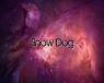 PuppyRus Snow Dog 1280x1024